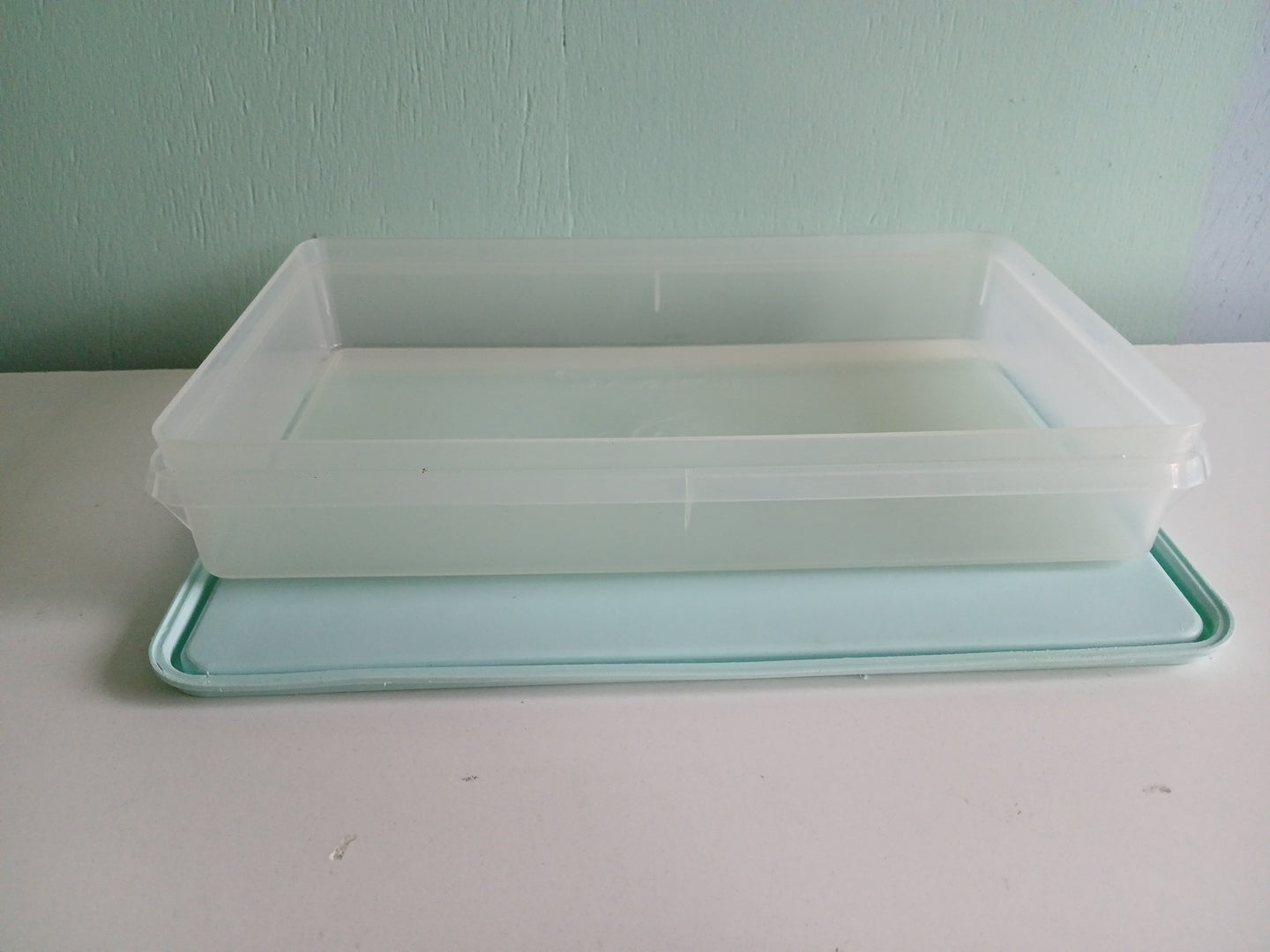 Vintage Tupperware Organizer rectangle container 11"X 2" 795-6